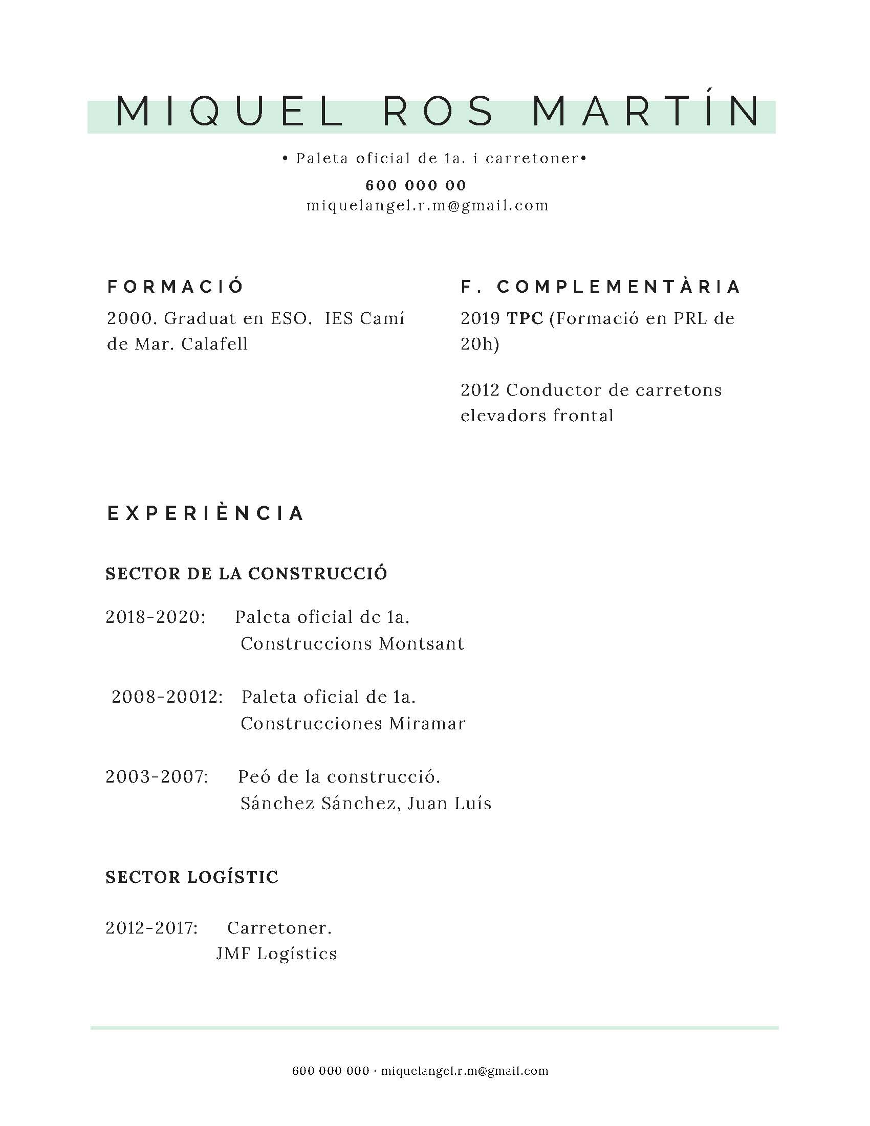 Model CV funcional